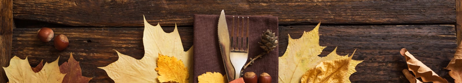 Thanksgiving Events Rochester